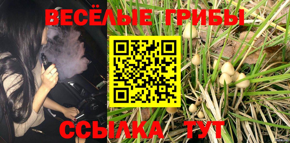 продажа наркотиков  Вход с VPN  Шебекино  Псилоцибиновые грибы мицелий  Галлюциногенные грибы MAGIC MUSHROOMS 